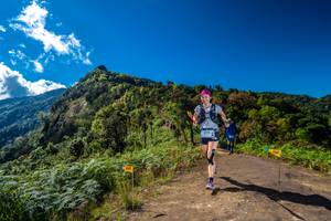 BIB: 2203, 
                            <button type="button" onclick="openModal(19036264)" class="btn btn-primary btn-sm float-right btn-popup" data-toggle="modal" data-target=".modal-high-quality">
                        <i class="fas fa-shopping-cart"></i> Add to Cart
                    </button>
                                            <button type="button" onclick="isThisMe(19036264, true)" class="btn btn-success btn-sm float-right btn-popup btn-isme hidden" data-toggle="tooltip" data-placement="bottom" title="นี่คือรูปของคุณใช่ไหม คลิกที่นี่เพื่อเอาเข้าอัลบั้ม">
                        <i class="fas fa-plus"></i> Add to album
                    </button>
                    <button type="button" onclick="isThisMe(19036264, false)" class="btn btn-warning btn-sm float-right btn-popup btn-isnotme hidden">
                        <i class="fas fa-ban"></i> Remove from album
                    </button>